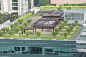 Pros and Cons of Commercial Green Roof